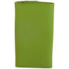 Porte clés de marque FANCIL en cuir vachette vert anis.-3